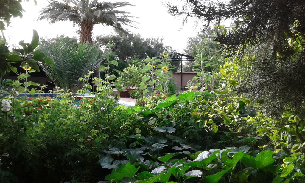 Bassatine Skoura Bed & Breakfast ภายนอก รูปภาพ